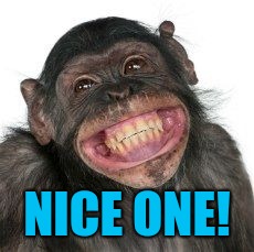 NICE ONE! | image tagged in grinning chimp | made w/ Imgflip meme maker