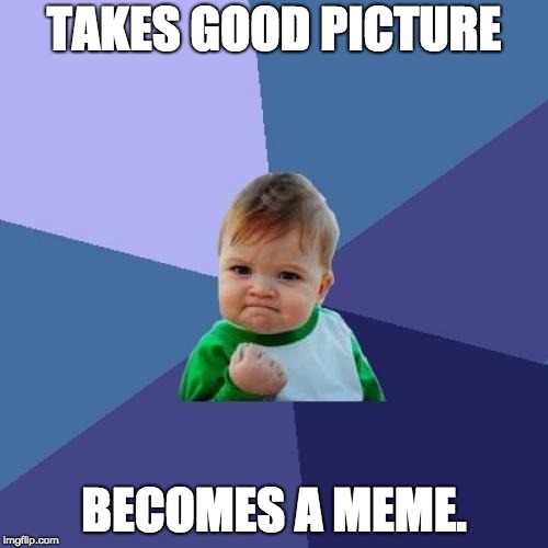 Success Kid Meme | TAKES GOOD PICTURE; BECOMES A MEME. | image tagged in memes,success kid | made w/ Imgflip meme maker