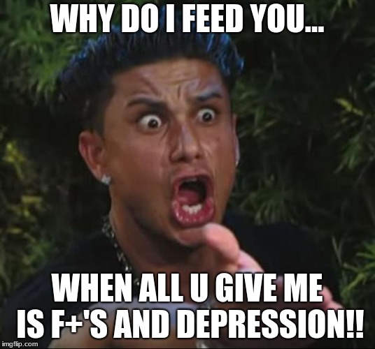 UGH....Adults these days, am i right? Always whining XDDD (HA, YOU THOT I WAS GONNA SAY KIDS, WELL YEEEET)
 | WHY DO I FEED YOU... WHEN ALL U GIVE ME IS F+'S AND DEPRESSION!! | image tagged in memes,dj pauly d | made w/ Imgflip meme maker