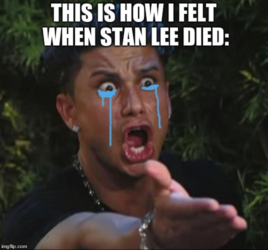 May you rest in pepperoni man, YOU DA BEST | THIS IS HOW I FELT WHEN STAN LEE DIED: | image tagged in memes,dj pauly d | made w/ Imgflip meme maker