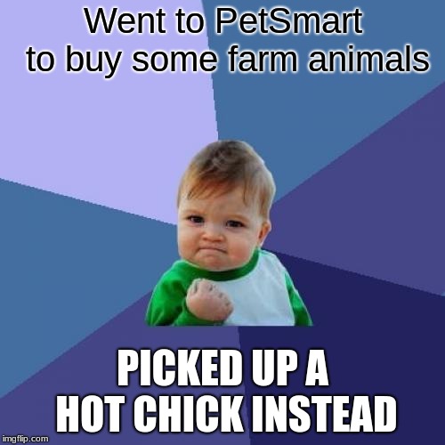 That´s how it´s done | Went to PetSmart to buy some farm animals; PICKED UP A HOT CHICK INSTEAD | image tagged in memes,success kid,funny | made w/ Imgflip meme maker