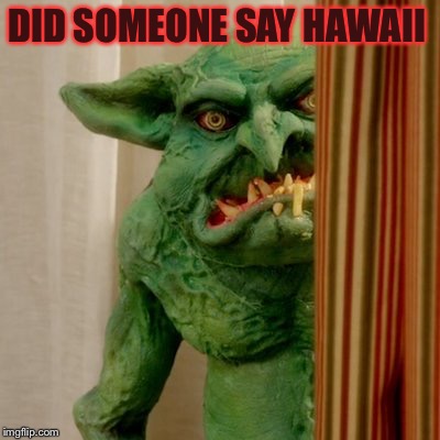 Cheddar Goblin | DID SOMEONE SAY HAWAII | image tagged in cheddar goblin | made w/ Imgflip meme maker