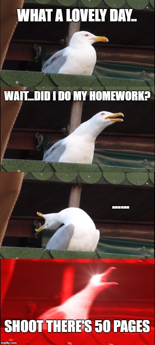Inhaling Seagull Meme | WHAT A LOVELY DAY.. WAIT...DID I DO MY HOMEWORK? ...... SHOOT THERE'S 50 PAGES | image tagged in memes,inhaling seagull | made w/ Imgflip meme maker