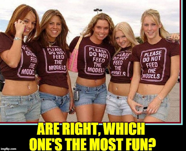 Girls: A Scientific Study | ARE RIGHT, WHICH ONE'S THE MOST FUN? | image tagged in vince vance,models,hot girls,girls girls girls,take your pick,hot babes | made w/ Imgflip meme maker