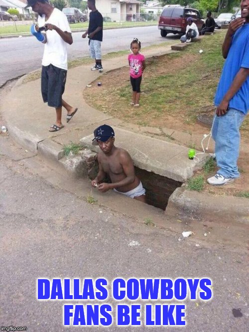 Cowboys fans | DALLAS COWBOYS FANS BE LIKE | image tagged in dallas cowboys | made w/ Imgflip meme maker