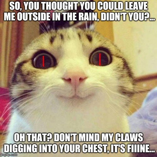 sooo, u thought you could get away with it eyy?WELL YOU WRONG XDD | SO, YOU THOUGHT YOU COULD LEAVE ME OUTSIDE IN THE RAIN, DIDN'T YOU?... OH THAT? DON'T MIND MY CLAWS DIGGING INTO YOUR CHEST, IT'S FIIINE... | image tagged in memes,smiling cat | made w/ Imgflip meme maker