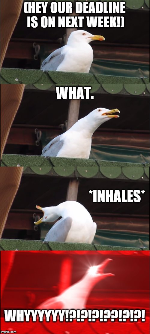 Inhaling Seagull | (HEY OUR DEADLINE IS ON NEXT WEEK!); WHAT. *INHALES*; WHYYYYYY!?!?!?!??!?!?! | image tagged in memes,inhaling seagull | made w/ Imgflip meme maker