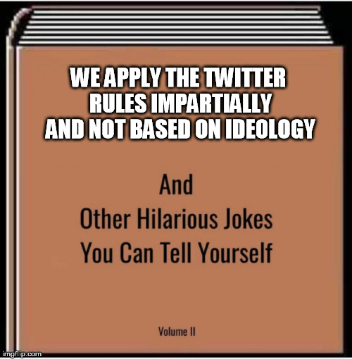 Banned Content | WE APPLY THE TWITTER RULES IMPARTIALLY AND NOT BASED ON IDEOLOGY | image tagged in and other hilarious jokes you can tell yourself,laura loomer,twitter,free speech | made w/ Imgflip meme maker