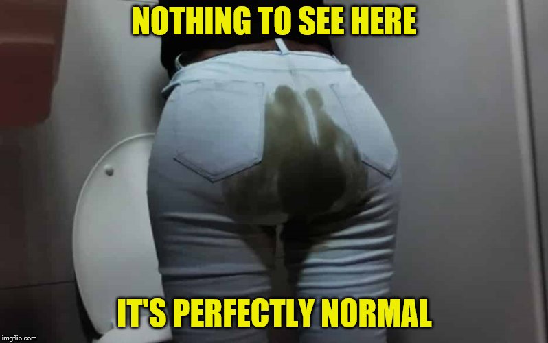 NOTHING TO SEE HERE IT'S PERFECTLY NORMAL | made w/ Imgflip meme maker