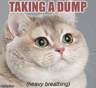 Heavy Breathing Cat Meme | TAKING A DUMP | image tagged in memes,heavy breathing cat | made w/ Imgflip meme maker