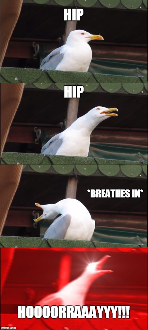 Inhaling Seagull | HIP; HIP; *BREATHES IN*; HOOOORRAAAYYY!!! | image tagged in memes,inhaling seagull | made w/ Imgflip meme maker
