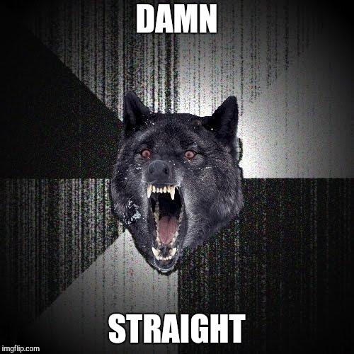 Insanity Wolf Meme | DAMN STRAIGHT | image tagged in memes,insanity wolf | made w/ Imgflip meme maker