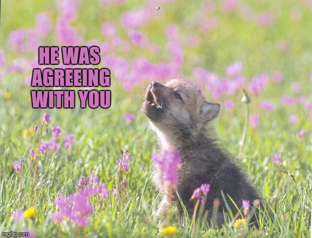 Baby Insanity Wolf Meme | HE WAS AGREEING WITH YOU | image tagged in memes,baby insanity wolf | made w/ Imgflip meme maker