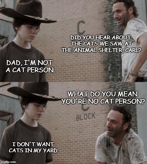 Rick and Carl | DID YOU HEAR ABOUT THE CATS WE SAW AT THE ANIMAL SHELTER, CARL? DAD, I'M NOT A CAT PERSON. WHAT DO YOU MEAN YOU'RE NO CAT PERSON? I DON'T WANT CATS IN MY YARD. | image tagged in memes,rick and carl | made w/ Imgflip meme maker