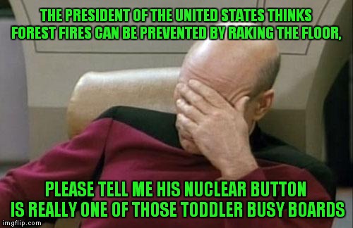 Are We "Finnished?" | THE PRESIDENT OF THE UNITED STATES THINKS FOREST FIRES CAN BE PREVENTED BY RAKING THE FLOOR, PLEASE TELL ME HIS NUCLEAR BUTTON IS REALLY ONE OF THOSE TODDLER BUSY BOARDS | image tagged in memes,captain picard facepalm,donald trump | made w/ Imgflip meme maker