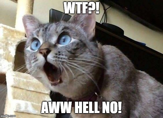 Aww Hell No! | WTF?! AWW HELL NO! | image tagged in memes,cat | made w/ Imgflip meme maker