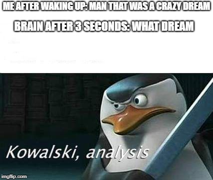kowalski, analysis | ME AFTER WAKING UP: MAN THAT WAS A CRAZY DREAM; BRAIN AFTER 3 SECONDS: WHAT DREAM | image tagged in kowalski analysis | made w/ Imgflip meme maker