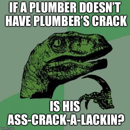 Philosoraptor | IF A PLUMBER DOESN’T HAVE PLUMBER’S CRACK; IS HIS ASS-CRACK-A-LACKIN? | image tagged in memes,philosoraptor,plumber,crackalackin,ass crack | made w/ Imgflip meme maker