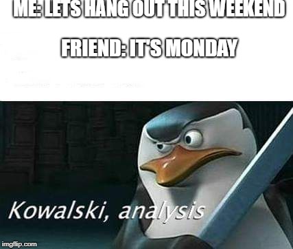 kowalski, analysis | ME: LETS HANG OUT THIS WEEKEND; FRIEND: IT'S MONDAY | image tagged in kowalski analysis | made w/ Imgflip meme maker