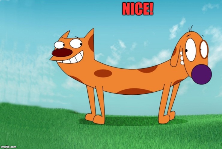 NICE! | image tagged in cat dog joke frame | made w/ Imgflip meme maker