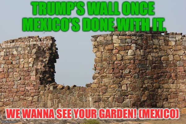 Trump’s wall | TRUMP’S WALL ONCE MEXICO’S DONE WITH IT. WE WANNA SEE YOUR GARDEN! (MEXICO) | image tagged in donald trump,wall,mexico,america | made w/ Imgflip meme maker