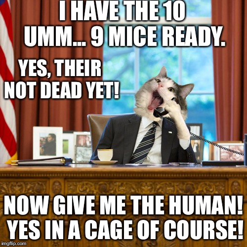 CAT BUSINESSMAN OFFICE TELEPHONE BLANK | I HAVE THE 10 UMM... 9 MICE READY. YES, THEIR NOT DEAD YET! NOW GIVE ME THE HUMAN! YES IN A CAGE OF COURSE! | image tagged in cat businessman office telephone blank | made w/ Imgflip meme maker