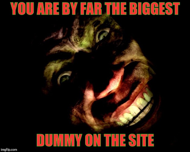 . | YOU ARE BY FAR THE BIGGEST DUMMY ON THE SITE | image tagged in g-man from half-life | made w/ Imgflip meme maker