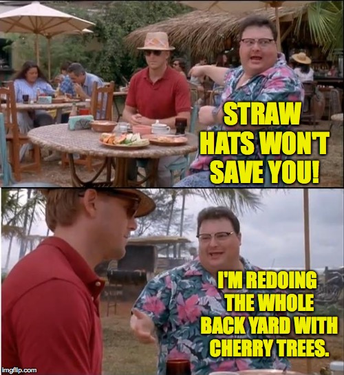 See Nobody Cares Meme | STRAW HATS WON'T SAVE YOU! I'M REDOING THE WHOLE BACK YARD WITH CHERRY TREES. | image tagged in memes,see nobody cares | made w/ Imgflip meme maker