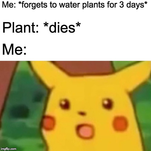 Surprised Pikachu Meme | Me: *forgets to water plants for 3 days*; Plant: *dies*; Me: | image tagged in memes,surprised pikachu,chores,watering plants,plants | made w/ Imgflip meme maker