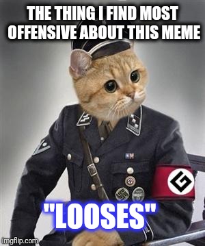 Grammar Nazi Cat | THE THING I FIND MOST OFFENSIVE ABOUT THIS MEME "LOOSES" | image tagged in grammar nazi cat | made w/ Imgflip meme maker