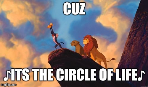 circle of life | CUZ ♪ITS THE CIRCLE OF LIFE♪ | image tagged in circle of life | made w/ Imgflip meme maker