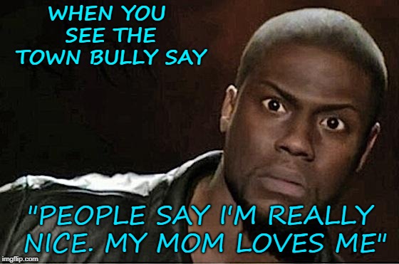 Kevin Hart Meme | WHEN YOU SEE THE TOWN BULLY SAY; "PEOPLE SAY I'M REALLY NICE. MY MOM LOVES ME" | image tagged in memes,kevin hart | made w/ Imgflip meme maker