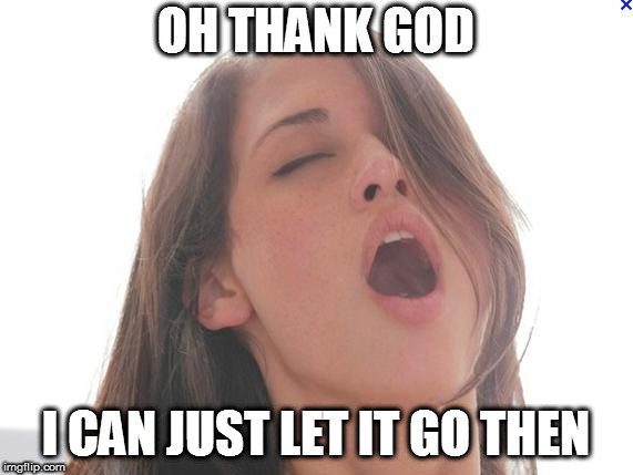 orgasm | OH THANK GOD I CAN JUST LET IT GO THEN | image tagged in orgasm | made w/ Imgflip meme maker