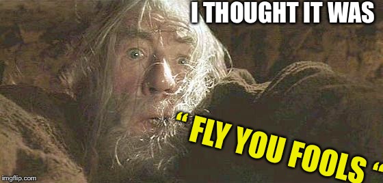Gandalf Fly You Fools | I THOUGHT IT WAS “ FLY YOU FOOLS “ | image tagged in gandalf fly you fools | made w/ Imgflip meme maker