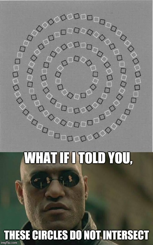 Look closely, it's an optical illusion |  WHAT IF I TOLD YOU, THESE CIRCLES DO NOT INTERSECT | image tagged in matrix morpheus,what if i told you,optical illusion,pipe_picasso | made w/ Imgflip meme maker