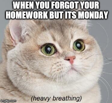 Heavy Breathing Cat | WHEN YOU FORGOT YOUR HOMEWORK BUT ITS MONDAY | image tagged in memes,heavy breathing cat | made w/ Imgflip meme maker
