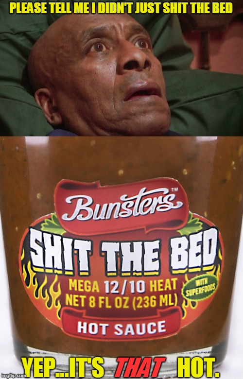 Mr. Scoville Would Be Proud | PLEASE TELL ME I DIDN'T JUST SHIT THE BED; YEP...IT'S                 HOT. THAT | image tagged in bedtime realizations,bunsters hot sauce,scoville | made w/ Imgflip meme maker