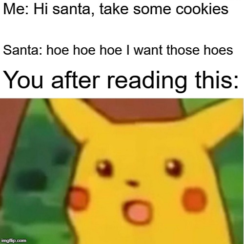 Surprised Pikachu Meme | Me: Hi santa, take some cookies; Santa: hoe hoe hoe I want those hoes; You after reading this: | image tagged in memes,surprised pikachu | made w/ Imgflip meme maker