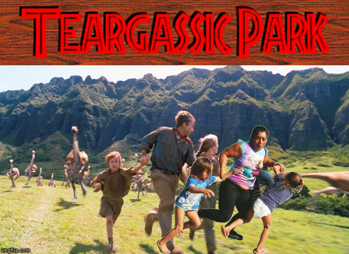 And the Category Best Refugee goes to ... | image tagged in memes,jurassic park,border wall,illegal immigration,oscars | made w/ Imgflip meme maker