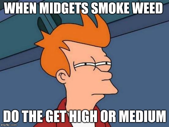Futurama Fry | WHEN MIDGETS SMOKE WEED; DO THE GET HIGH OR MEDIUM | image tagged in memes,futurama fry | made w/ Imgflip meme maker