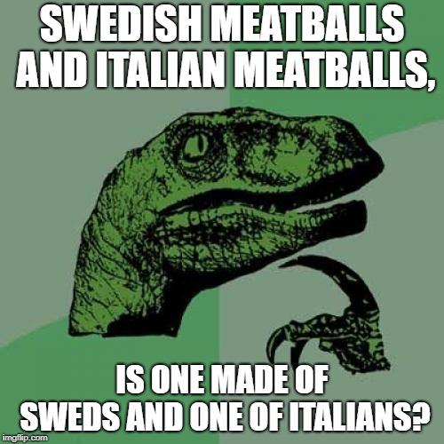 Philosoraptor | SWEDISH MEATBALLS AND ITALIAN MEATBALLS, IS ONE MADE OF SWEDS AND ONE OF ITALIANS? | image tagged in memes,philosoraptor | made w/ Imgflip meme maker