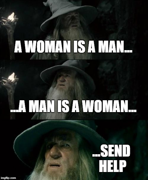 Welcome to today! | A WOMAN IS A MAN... ...A MAN IS A WOMAN... ...SEND HELP | image tagged in memes,confused gandalf | made w/ Imgflip meme maker