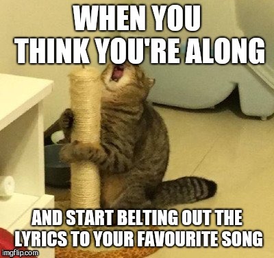 Image tagged in cats,karaoke - Imgflip