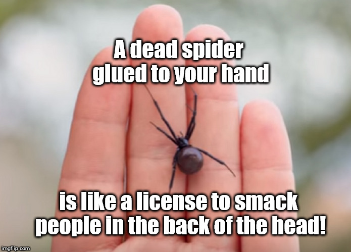 Nobody's gonna give you a high-five, though... | A dead spider glued to your hand; is like a license to smack people in the back of the head! | image tagged in spider | made w/ Imgflip meme maker