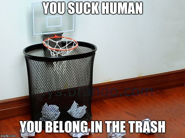 Waste basketball | YOU SUCK HUMAN; YOU BELONG IN THE TRASH | image tagged in waste basketball | made w/ Imgflip meme maker