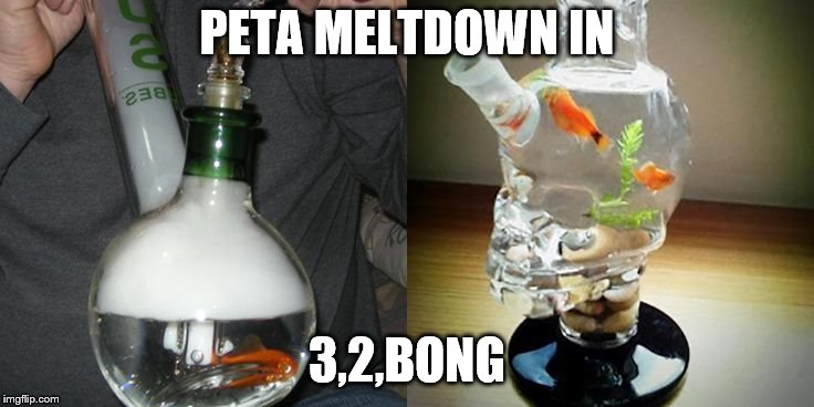 Not mine | PETA MELTDOWN IN; 3,2,BONG | image tagged in weed | made w/ Imgflip meme maker