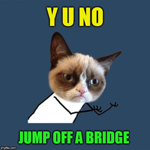 Y U NO JUMP OFF A BRIDGE | made w/ Imgflip meme maker