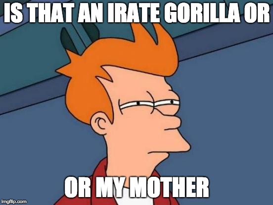 Futurama Fry | IS THAT AN IRATE GORILLA OR; OR MY MOTHER | image tagged in memes,futurama fry | made w/ Imgflip meme maker