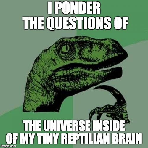 Philosoraptor Meme | I PONDER THE QUESTIONS OF; THE UNIVERSE INSIDE OF MY TINY REPTILIAN BRAIN | image tagged in memes,philosoraptor | made w/ Imgflip meme maker