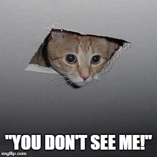 Ceiling Cat Meme | "YOU DON'T SEE ME!" | image tagged in memes,ceiling cat | made w/ Imgflip meme maker
